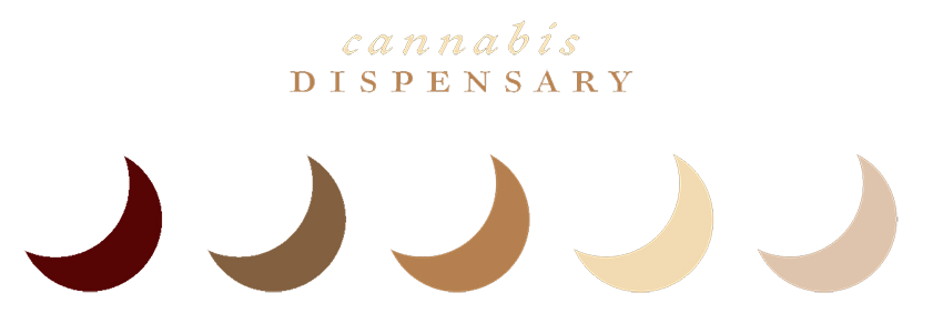 Medical Dispensary copy